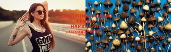 марки lsd Мегион