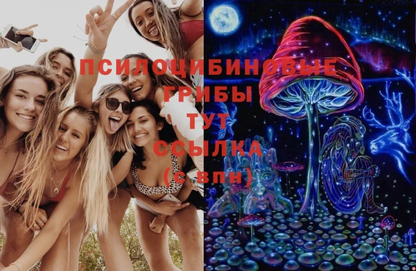 бутират Медвежьегорск